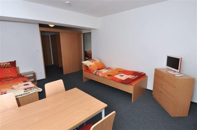 Sport Hotel Ticha Orlice Usti nad Orlici Room photo